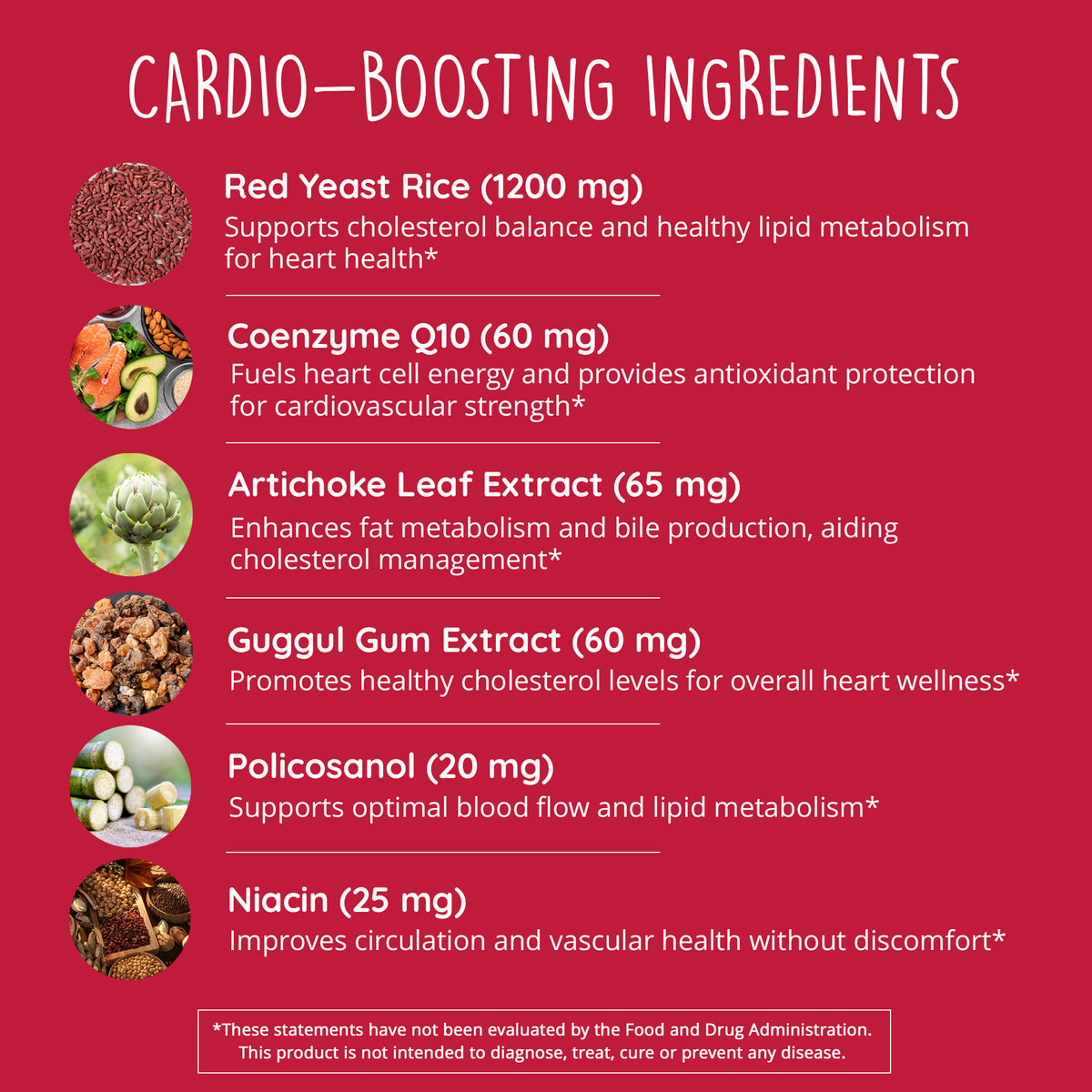 Red Yeast Rice + CoQ10