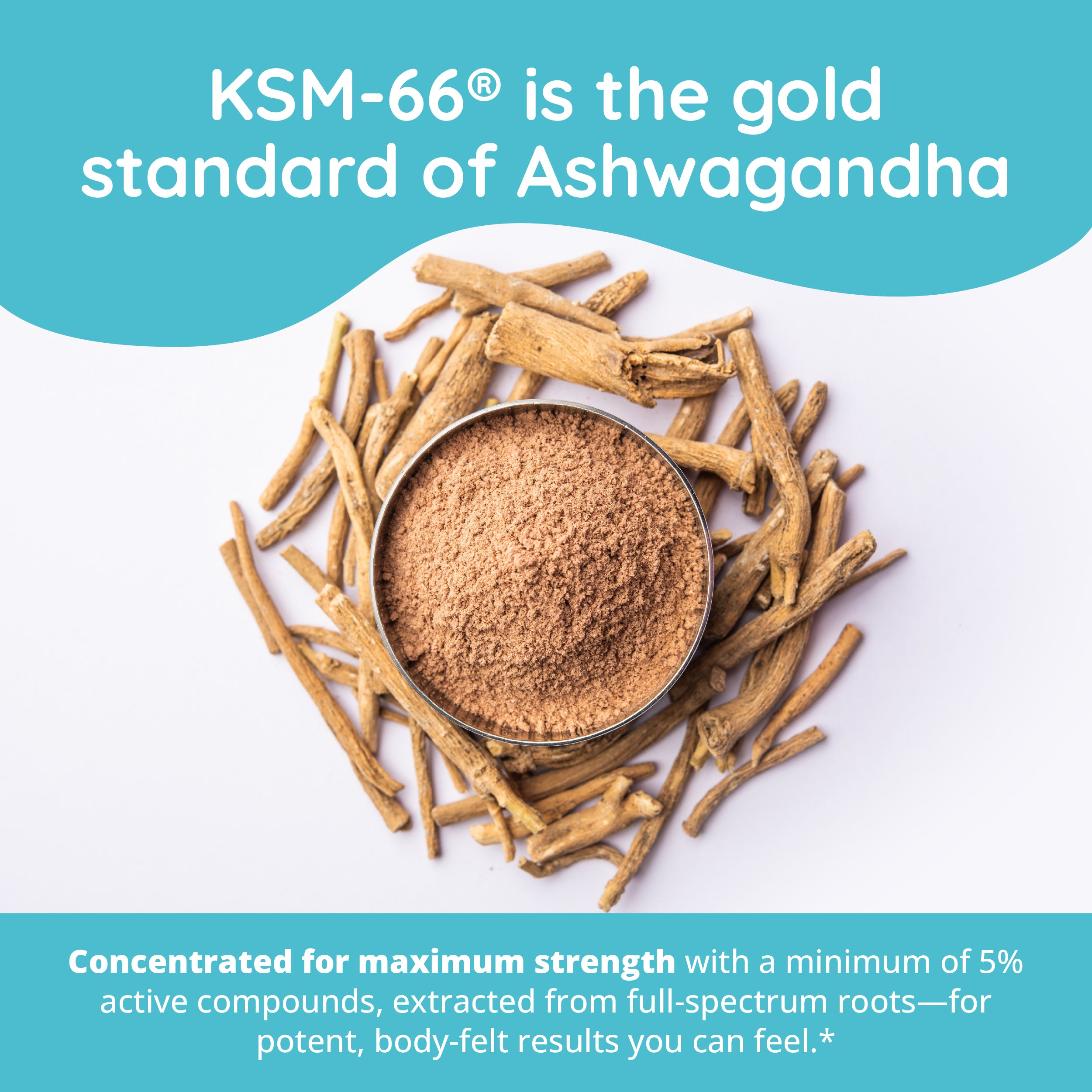 Zen Again Cortisol Manager