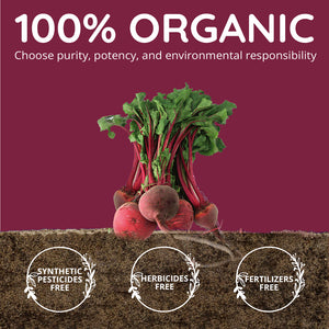 Organic Beet Root
