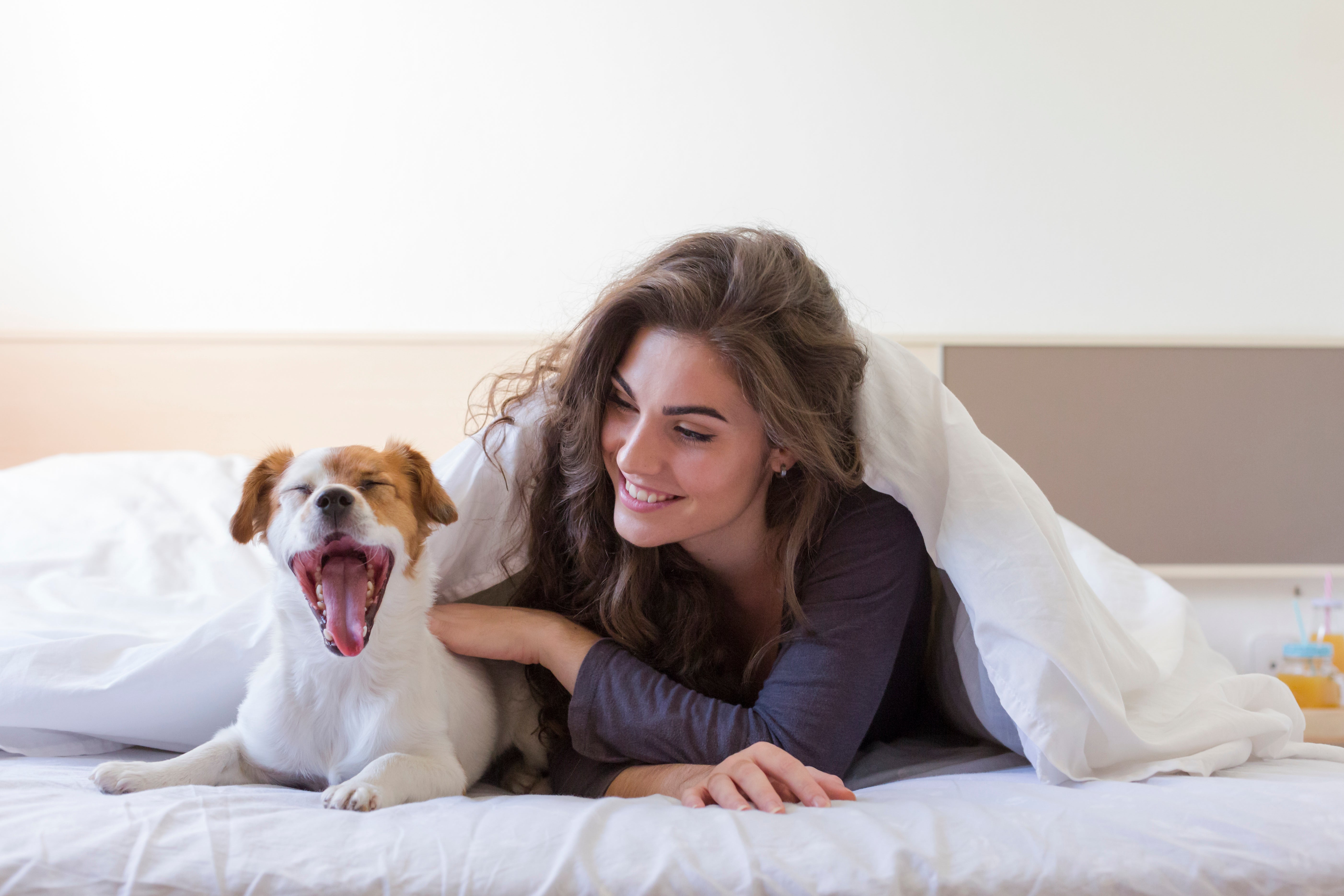Best Sleep Supplements - Woman and Dog in Bed